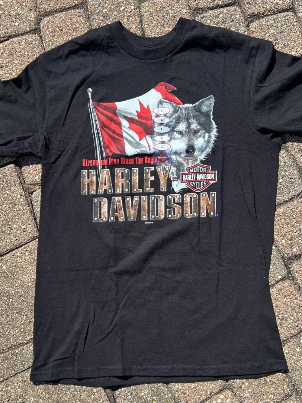 New Harley-Davidson Thunder Row Windsor T-Shirt Size L NWT